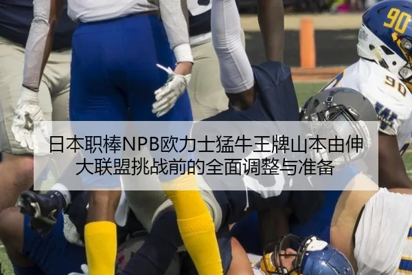 ri-ben-zhi-bang-ou-li-shi-meng-niu-wang-pai-shan-ben-you-shen-da-lian-meng-tiao-zhan-qian-de-quan-mian-tiao-zheng-yu-2-483.jpg