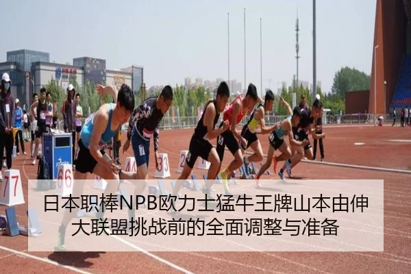 ri-ben-zhi-bang-ou-li-shi-meng-niu-wang-pai-shan-ben-you-shen-da-lian-meng-tiao-zhan-qian-de-quan-mian-tiao-zheng-yu-3-376.jpg